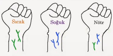 07-cilt-alt-tonunuzu-ogrenin