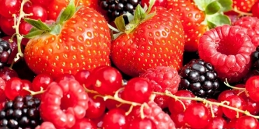 Gençleştiren yiyecekler