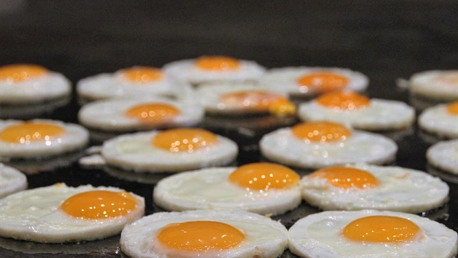 Yumurtanın Büyük 6 Faydası