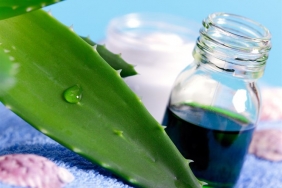 Saçları Uzatan Aloe Veralı Şampuan Tarifi