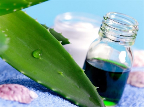 Saçları Uzatan Aloe Veralı Şampuan Tarifi