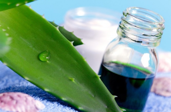 Saçları Uzatan Aloe Veralı Şampuan Tarifi