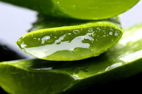 Ev Yapımı Aloe Veralı Yüz Misti