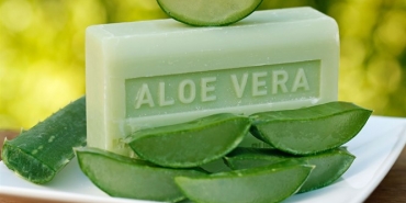 Aloe Vera Sabunu Nasıl Yapılır? Faydaları Neler?