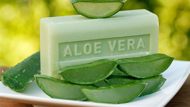 Aloe Vera Sabunu Nasıl Yapılır? Faydaları Neler?