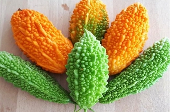 kudret-nari-bakimi